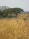 img_0003_2