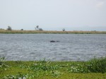 img_0013_2